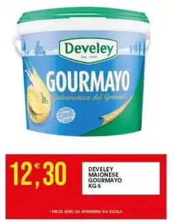 Vantaggio Cash&Carry DEVELEY maionese gourmayo offerta