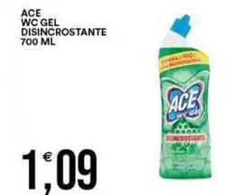 Vantaggio Cash&Carry ACE Wc gel disincrostante offerta
