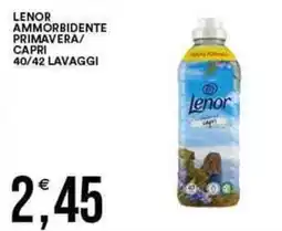 Vantaggio Cash&Carry LENOR Ammorbidente primavera/ capri offerta