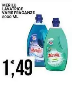 Vantaggio Cash&Carry MERILU Lavatrice varie fraganze offerta