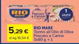Carrefour RIO MARE Tonno all'Olio di Oliva Pescato a Canna offerta