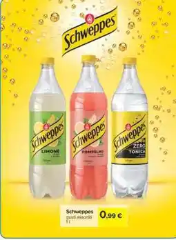 Carrefour SCHWEPPES offerta
