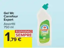 Carrefour Gel Wc Carrefour Expert offerta
