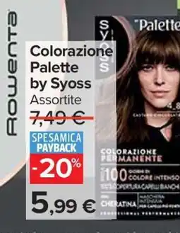 Carrefour Colorazione Palette by Syoss offerta