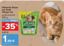 Carrefour Alimento Secco per Gatti Ultima Cat offerta