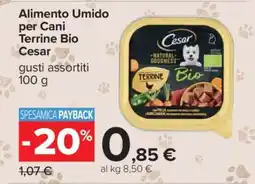 Carrefour Alimento Umido per Cani Terrine Bio Cesar offerta