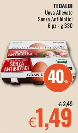 Famila TEDALDI Uova Allevate Senza Antibiotici 6 pz offerta