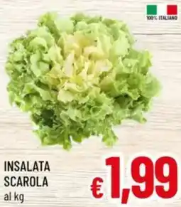 A&O Insalata scarola offerta
