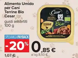 Carrefour Alimento Umido per Cani Terrine Bio Cesar gusti assortiti offerta