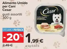 Carrefour Alimento Umido per Cani Cesar offerta