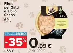 Carrefour Filetti per Gatti di Pollo Sheba offerta