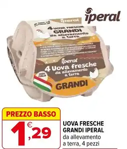 Iperal Uova fresche grandi IPERAL offerta