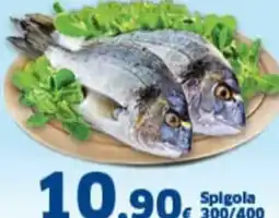 Orizzonte Supermercati Spigola offerta