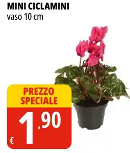 Tigros Mini ciclamini vaso 10 cm offerta