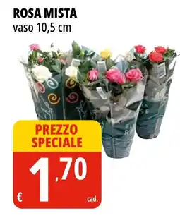 Tigros Rosa mista offerta