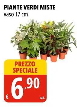 Tigros Piante verdi miste offerta
