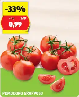 ALDI Pomodoro grappolo offerta