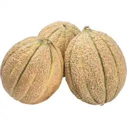 Coop MELONE RETATO I.G.P offerta