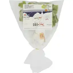 Coop BASILICO GENOVESE D.O.P. ORTO QUI offerta