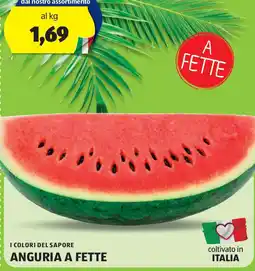 ALDI I colori del sapore anguria a fette offerta