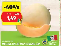 ALDI Melone liscio mantovano igp offerta