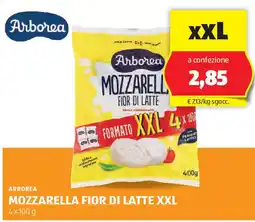 ALDI ARBOREA Mozzarella fior di latte xxl offerta