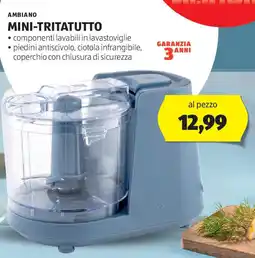 ALDI AMBIANO Mini-tritatutto offerta