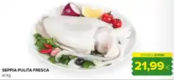 Oasi Seppia pulita fresca offerta