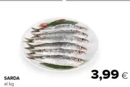 Oasi Sarda offerta