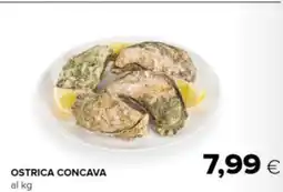 Oasi Ostrica concava offerta