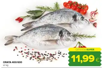 Oasi Orata offerta