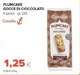 Tigre Consilia plumcake gocce di cioccolato offerta