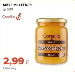 Tigre Consilia miele millefiori offerta