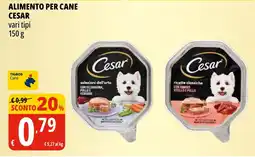 Tigros Alimento per cane CESAR offerta