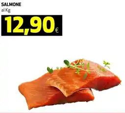 Ipercoop Salmone al kg offerta