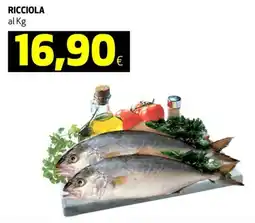 Ipercoop Ricciola al kg offerta