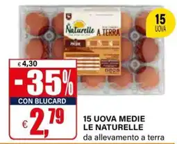 Il Gigante 15 uova LE NATURELLE offerta