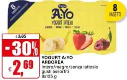 Il Gigante Yogurt a-yo ARBOREA offerta