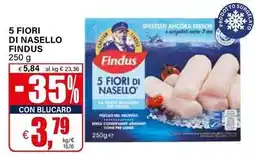 Il Gigante 5 fiori di nasello FINDUS offerta