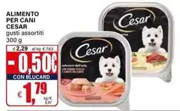 Il Gigante Alimento per cani CESAR offerta