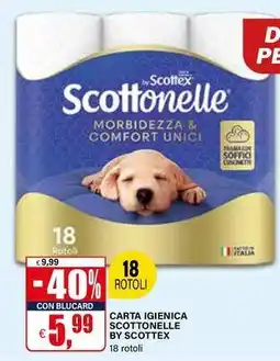 Il Gigante Carta igienica scottonelle by SCOTTEX offerta