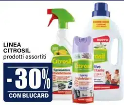 Il Gigante Linea CITROSIL prodotti assortiti offerta