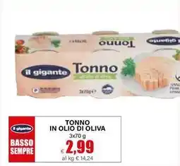 Il Gigante Il gigante tonno in olio di oliva offerta