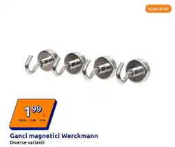 Action Ganci magnetici Werckmann offerta