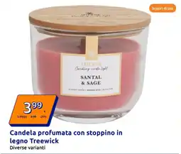 Action Candela profumata con stoppino in legno Treewick offerta