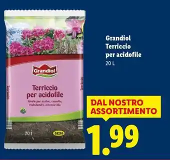 Lidl Grandiol Terriccio per acidofile offerta