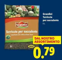 Lidl Grandiol Terriccio per succulente offerta