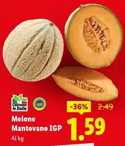 Lidl MELONE MANTOVANO IGP offerta