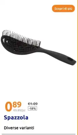 Action Spazzola offerta