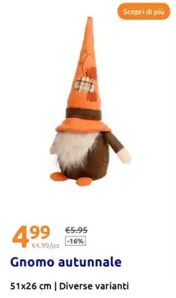 Action Gnomo autunnale offerta